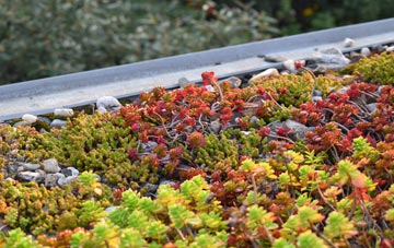 the cost of Inlands green roof installation