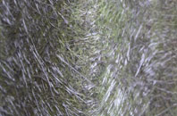 Inlands fibreglass roof work